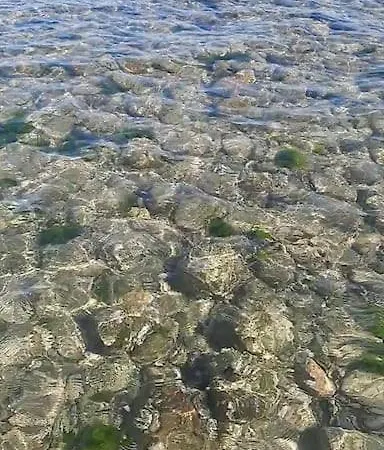 Darsena 29 * Κατόλικα