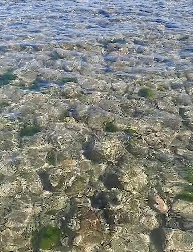 Darsena 29 * Κατόλικα